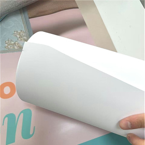 280 Mic ấm trắng mờ giấy tổng hợp dày hơn PP vật liệu chống nước Album ảnh & quảng cáo hiển thị Poster - Product Image 2