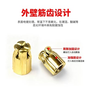 <b>Copper</b> Carbon Steel Hinge Embedding Nut 4x8mm Hex Expansion Furniture Connector Wardrobe Use Durable Metal Part - Product Image 4