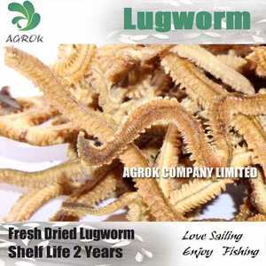 AGROK Venta al por mayor 5g/bolsa Gusanos Reales Liofilizados, Cebo Blando de Lombriz de Arena Seca para Pesca Marina - Product Image 4