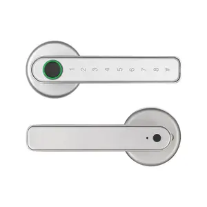 High Security Home Electric Smart Lock Zinc alloy Smart Password Room Lock Intelligent Smart Fingerprint handle Lock