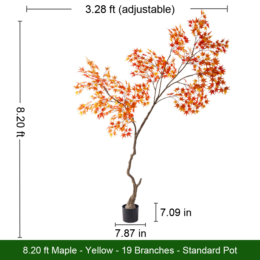 Árbol de Arce Dorado Otoñal