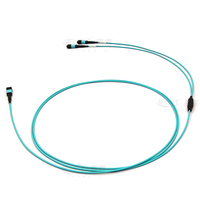 Kabel Breakout 24 Fiber OM3 MPO MPO-24 ke 2 x MPO-12 1m Kabel Patch Multimode untuk Pusat Data