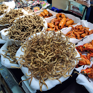 Fabrika fiyatları dondurularak kurutulmuş pelet solucanlar balık maması cilt ve ceket sağlığı için % 100% doğal Protein - Product Image 6