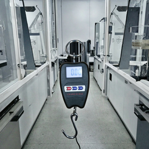 Báscula Digital para Grúa OEM de 200 kg, Modelo 102A, Plástico ABS - Product Image 3