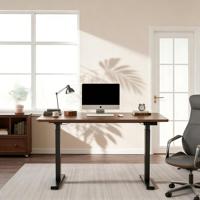 Bureau d'ordinateur moderne ergonomique à double moteur, design en fer durable, électrique, réglable en hauteur, garantie de 2 ans pour la maison et le bureau