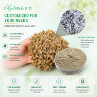 Kit professionnel de micro-aiguilles anti-acné à base d'extraits végétaux, contrôle du sébum, avec poudre brune de spicules d'éponge hydrolysée de qualité cosmétique
