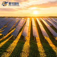 Kit Pemasangan PV Agrivoltaik Kelas Utilitas untuk Pertanian, Sistem Rak Surya Pembangkit Listrik Bersama Pertanian