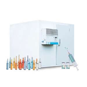 Chambre froide de 10 m³ pour la viande de poisson, chambre de congélation pour poissonnerie, congélateur à accès piétonnier - Product Image 5