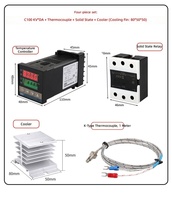 REX-C100 Termostat Industri Digital Termokopel Sekrup Pendingin Solid State Kontrol Suhu Cerdas Plastik ODM OEM