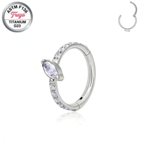 Anneaux de piercing en titane de qualité implantable ASTM-F136 pour le nez, l'oreille et le septum, avec zircon, type fer à cheval, clicker et segment