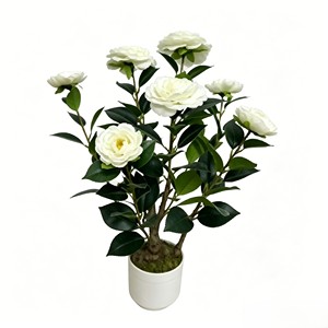 ดอกคามิเลียสีขาวสวยหรูอ่อนช้อย พร้อมกลีบดอกที่หนาแน่นเป็นชั้นๆ เหมาะสำหรับตกแต่งงานเลี้ยง ตกแต่งหน้าต่าง ห้องนอน และสวน - Product Image 1