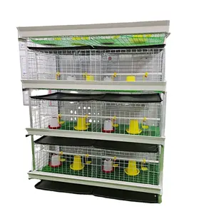 Automatic Poultry Farm H type Broiler Chicken Cages /broiler cage for Philippines