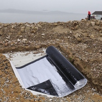 Membrana Impermeable de Betún de Una Sola Capa de 1.5 mm para Impermeabilización de Sótanos y Baños