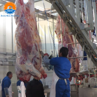 Projet clé en main pour l'équipement d'abattage de bétail avec certification islamique, équipement de transformation de la viande personnalisable