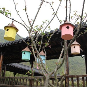 2021 neues Massivholz-Familien vogelnest im Innen-und Außenbereich - Product Image 3