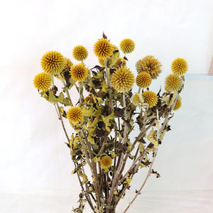 Fleur de Thistle <span class=keywords><strong>Bleu</strong></span> Naturel Minimaliste, Globe Décoratif Rustique pour Mariage à Domicile, Échinops <span class=keywords><strong>Séché</strong></span> et Préservé, Eryngium <span class=keywords><strong>Bleu</strong></span> - Product Image 2