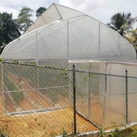 Grande Serre Gothique avec Double Couche PE Serre Tropicale Hydroponique pour Tomates Serre Double Couche en Dents de Scie