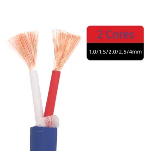 Venda quente 1.5mm2 Hifi Speaker Cable 2 Core Oxygen Free Copper Wires 10m Long 5mm Diâmetro exterior para Home Stereo System