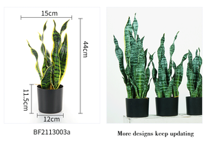 Vente en gros d'usine, plante artificielle Sansevieria <span class=keywords><strong>Trifasciata</strong></span> de marque BF, matière PE, couleur verte, bonsaï d'intérieur/extérieur, jardin - Product Image 5