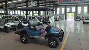 Productos Más Vendidos, Carro de Golf de Cuatro Ruedas con 2+2 Asientos, Motor de 650w, Batería de Plomo-Ácido de 100ah, Personalizable - Product Image 3
