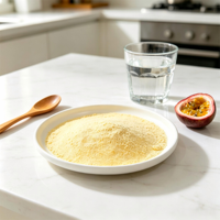 Voedingsmiddelengekeurd gevriesdroogd passievruchtenpoeder voor dranken & bakkerijproducten