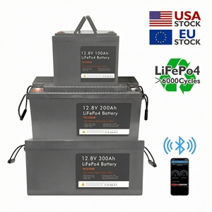 PMI HP1500K Rechargeable Smart BMS BT 12.8V 100Ah/200Ah LiFePO4 Lithium <b>Battery</b> With 6000 Cycles HP1500K <b>24v</b> Lithium Ion <b>Battery</b> - Product Image 2