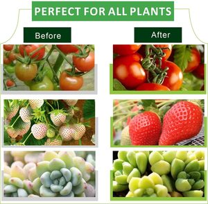 Nhà máy phát triển A19 <span class=keywords><strong>LED</strong></span> nhà máy đèn 230 độ cơ sở E26 E27 <span class=keywords><strong>LED</strong></span> phát triển bóng đèn cho Nhà máy rồng trái cây - Product Image 6