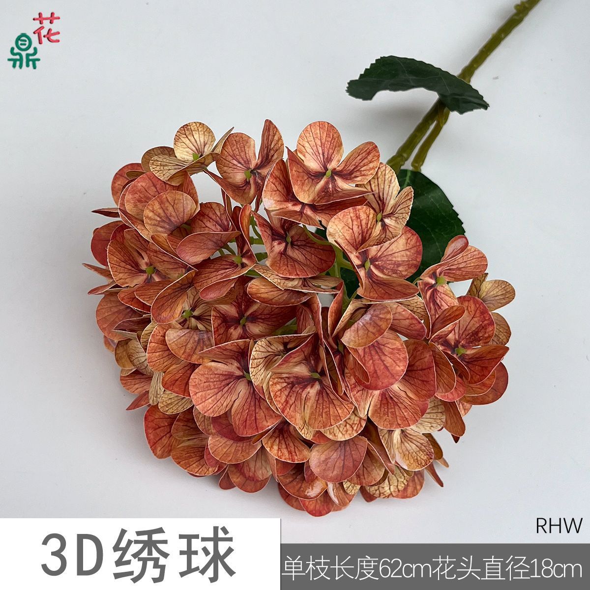 3D Hydrangea RHW Autumn Orange