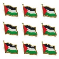 Émail de drapeau de Palestine personnalisé pour épinglette imprimé avec de l'époxy sur acier étain laiton plaqué par les fabricants pour les badges de col de chapeau