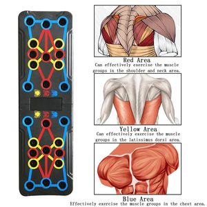 Soporte Plegable para Ejercicios de Fisicoculturismo en Casa, para Entrenamiento de Pecho, Piernas y Flexiones - Product Image 4