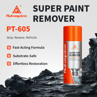 Solution puissante pour l'élimination de la peinture vieillie, restauration des surfaces avec un format de pulvérisation pratique, décapant de peinture