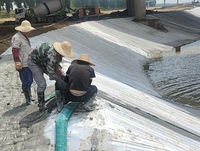 Matelas en béton pour coffrage, matelas géotextile pour la protection des rives, contrôle de l'érosion, rivage fluvial