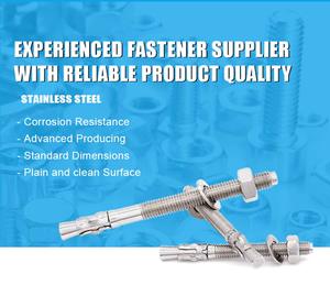 Anclajes de Cuñ<span class=keywords><strong>a</strong></span> de Acero Inoxidable 304 de 3/8"X3" con Excelente Rendimiento Antioxidante, Kit de Tornillos para Anclajes de Concreto de Acero Inoxidable - Product Image 5