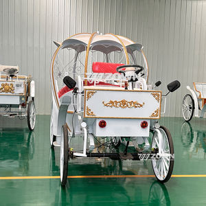 Véhicule de <span class=keywords><strong>mariage</strong></span> en calèche électrique royal OEM Wagon Cendrillon Citrouille Chariot de visite - Product Image 1