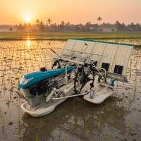 Repiqueuses de riz autoportées personnalisées de 3,3 kW, consommation de carburant de 6 kg par hectare, poids de 187 kg, pour le Vietnam et la Thaïlande, avec des coûts d'exploitation minimaux