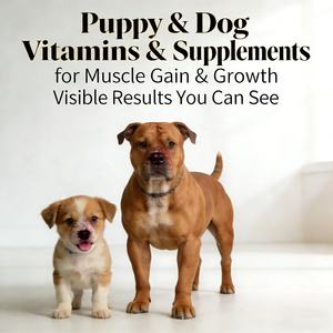 Comprimés à mâcher 2 en 1 pour la croissance musculaire des chiots et des chiens adultes, vitamines et compléments alimentaires pour chiots et chiens pour la croissance musculaire - Product Image 3