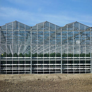 Estructura Modular de Ensamblaje Rápido, Vano y Altura Personalizables, Invernadero de Vidrio Multi-vano de Bajo Mantenimiento - Product Image 1