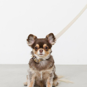 लक्जरी समायोज्य कुत्ते कॉलर ठोस शैली व्यक्तिगत pu और चमड़े के पट्टे के लिए रिवेट सजावट के साथ - Product Image 5