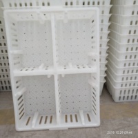 Boîte de transport en plastique de haute qualité, pour bébé, mandrin de canard, niche de volaille, à vendre, 2 pièces