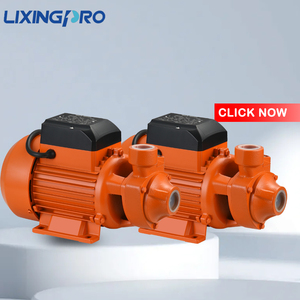 QB 60 Series 1HP Portable Vertical Iron/Stainless Steel/Cast Iron Booster <strong>Pump</strong> Small Surface <strong>Water</strong> Turbine <strong>Pumps</strong> Low Clean <strong>Water</strong> - Product Image 1