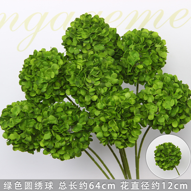 Hortensia vert