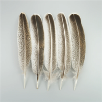10 pièces/sac plumes d'aigle naturelles pour artisanat Plume coiffure accessoires vacances décoration carnaval plume bricolage artisanat décor