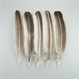 10Pcs/Bag Natural <strong>Eagle</strong> <strong>Feathers</strong> for Crafts Plume Headdress Accessories Holiday Decoration Carnival <strong>Feather</strong> DIY Handicraft Decor - Product Image 5