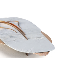 Table basse en marbre Dream Home Soft Contour, plateau irrégulier, décor en laiton courbé, table de salon haut de gamme premium