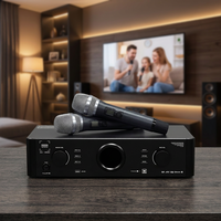 DEKEN KA-300 II 300W Class-H Pro Karaoke Amfisi 3'ü 1 Arada Ev KTV Ekipmanı BT DSP Kablosuz Mikrofon Ev Alıcısı