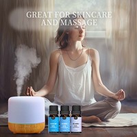 Ensemble de 6 huiles essentielles biologiques de luxe, 100% pures et naturelles, diffuseur d'aromathérapie frais, kit cadeau écologique