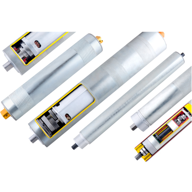 ZD Motor 50 60 80 113 138 165mm Interroll Equivalent AC DC Drive or Lift Drum Roller Gear Motor Roller ZD-DM-S-60-A-35-300