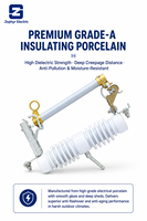 Disjoncteur de déconnexion série RW, type composite, isolateur en porcelaine 24 kV, protection contre les surintensités pour ligne montée sur poteau