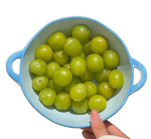 Bol à double anse en céramique avec bordure, design moderne et minimaliste, idéal <span class=keywords><strong>pour</strong></span> la rentrée scolaire, les pique-niques, la vaisselle, la <span class=keywords><strong>salade</strong></span>, le riz, les nouilles instantanées - Product Image 5