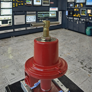 Válvula Reductora Neumática de Primera Etapa de Alta Presión para Control de Flujo en Tuberías Industriales <span class=keywords><strong>REGO</strong></span> 597F, Regulador de <span class=keywords><strong>Gas</strong></span> Propano para Quemadores de GLP - Product Image 3